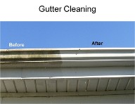 gutter cleaning